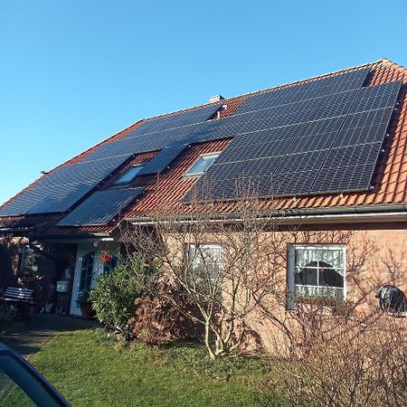 Haus Moewennest Lägenhet Gelting Exteriör bild