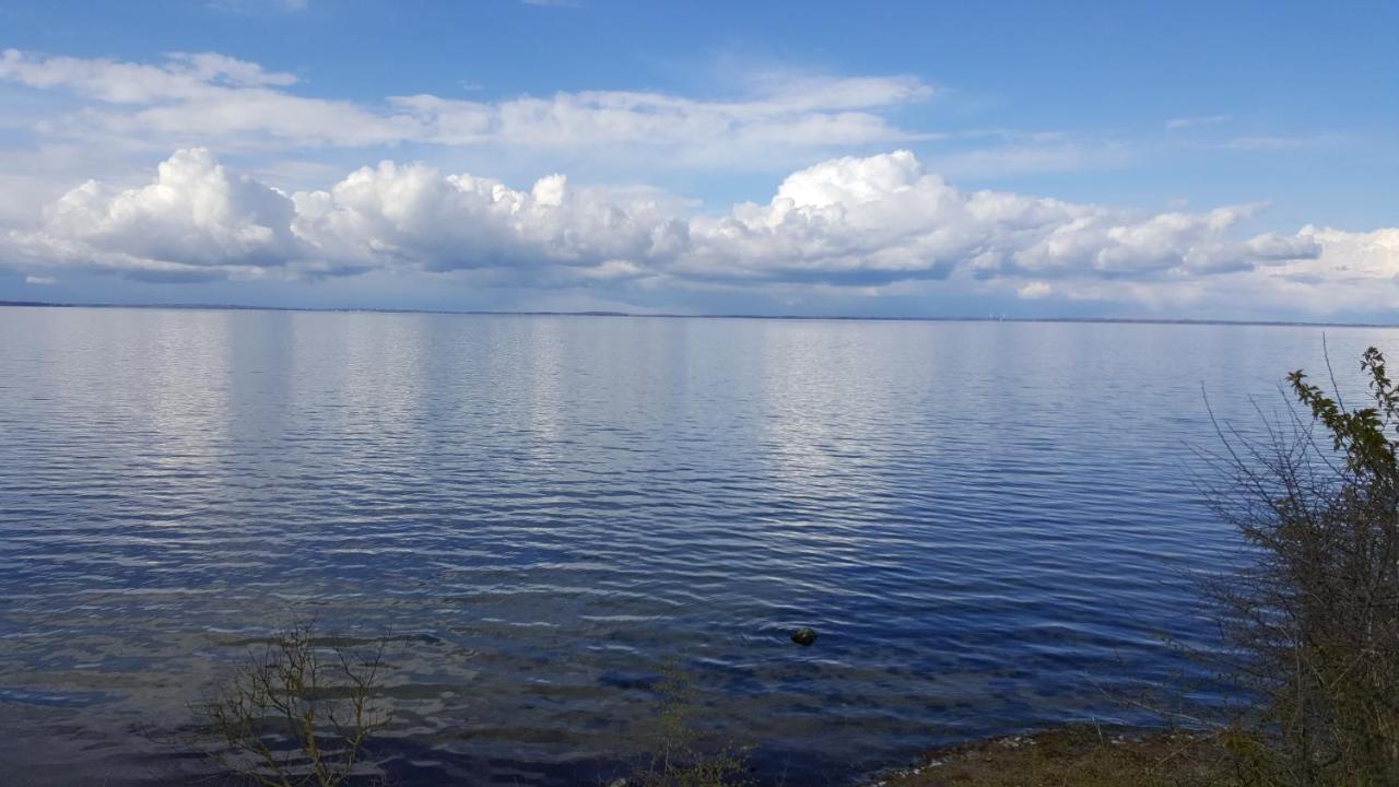 Haus Moewennest Lägenhet Gelting Exteriör bild